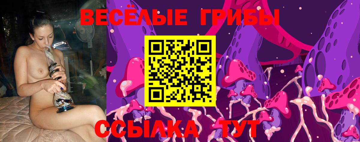 Красный Сулин  Псилоцибиновые грибы Psilocybe  Вход с VPN 